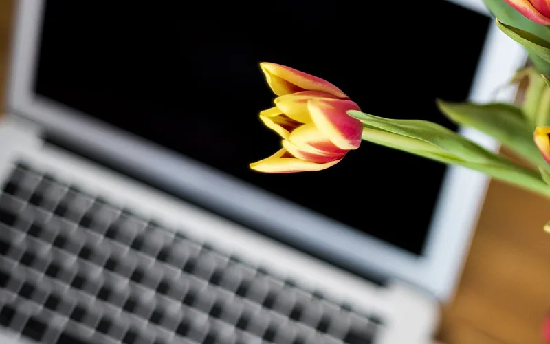 Aufgeklappter Laptop auf Holz neben einer Blüte